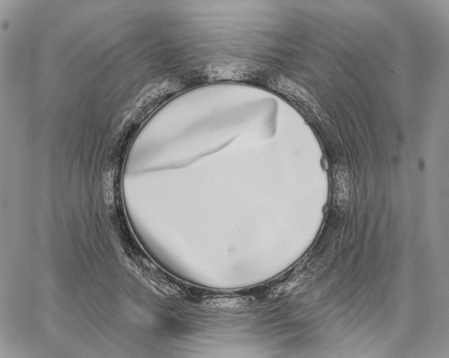 X0000062840738200602031601