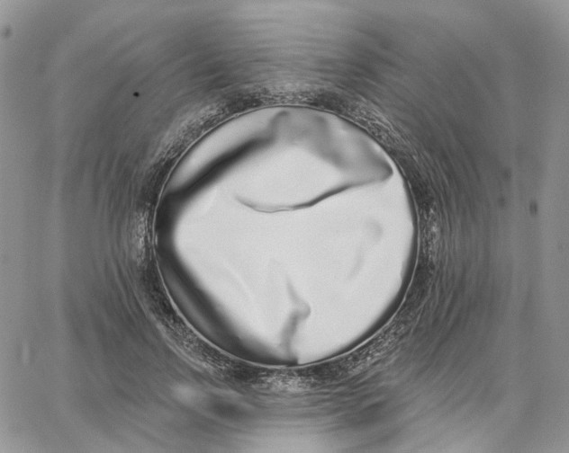 X0000062840742200602031601