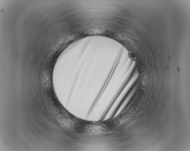X0000062840743200602031601