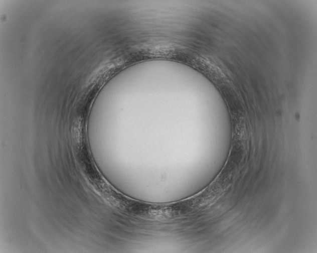 X0000062840744200602031601
