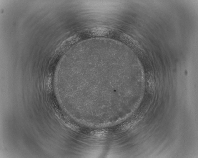 X0000062840745200602031601
