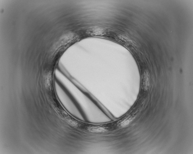 X0000062840747200602031601