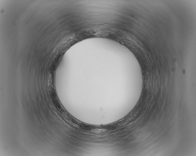 X0000062840748200602031601