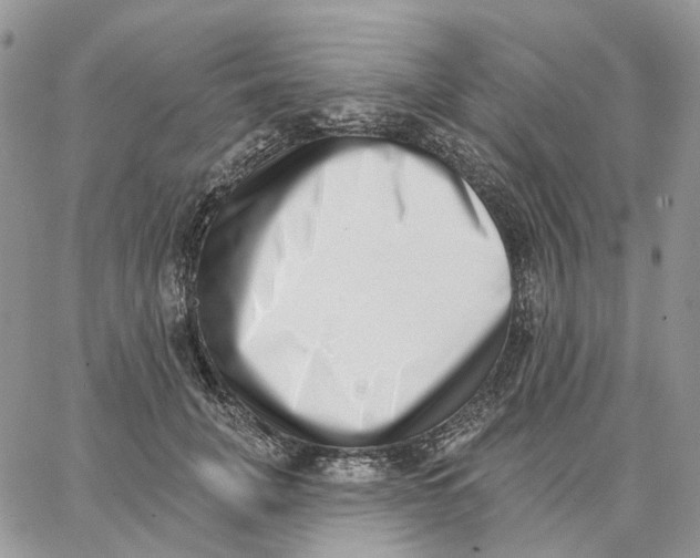 X0000062840751200602031601