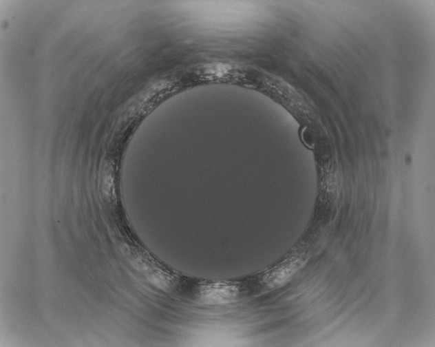 X0000062840754200602031601