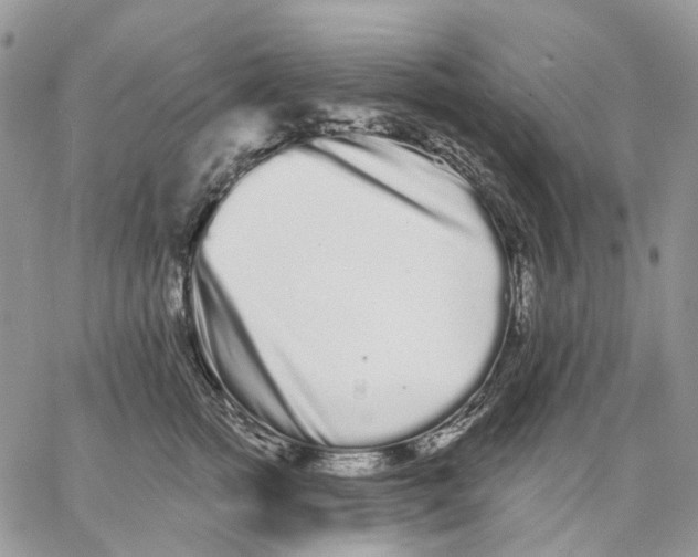 X0000062840758200602031601