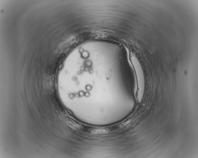 X0000062840759200602031602