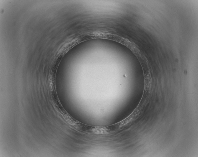 X0000062840762200602031602