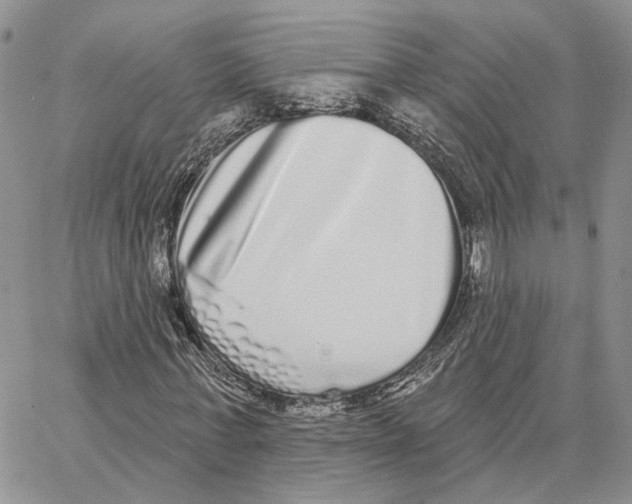 X0000062840771200602031601