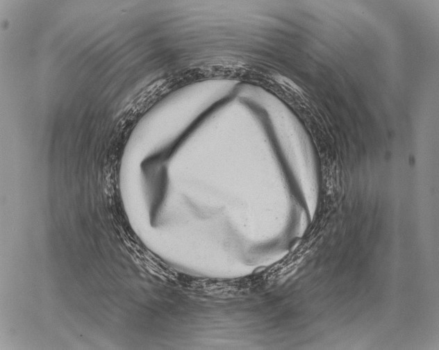 X0000062840774200602031601