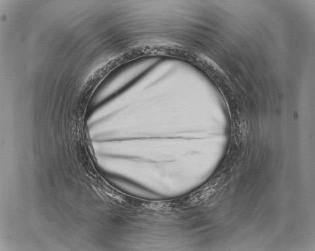 X0000062840775200602031601