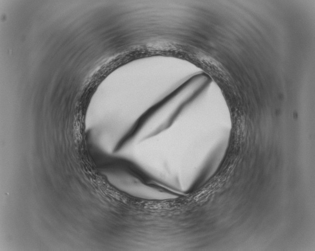 X0000062840776200602031601