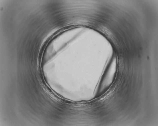 X0000062840780200602031601