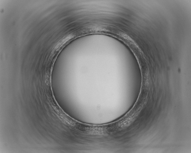 X0000062840785200602031601