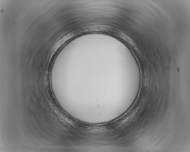 X0000062840786200602031601
