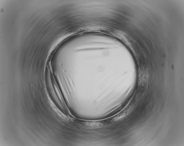 X0000062840795200602031600