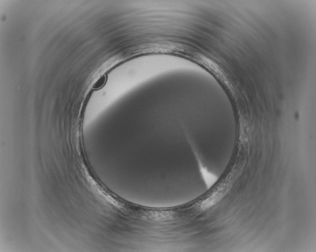 X0000062840802200602031600