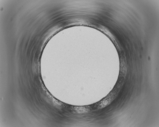X0000062840807200602031600