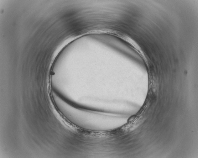 X0000062840811200602031600