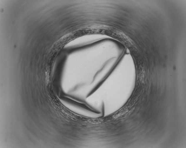 X0000062840821200602031559