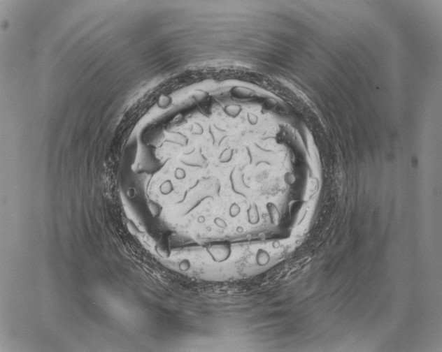 X0000062840823200602031559