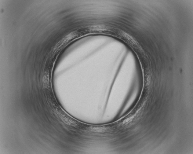 X0000062840825200602031559