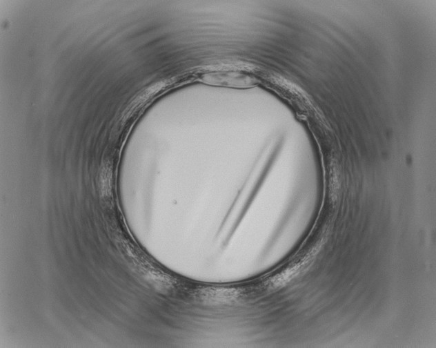 X0000062840833200602031600