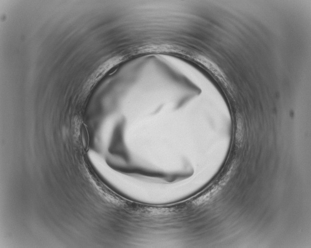 X0000062840849200602031600