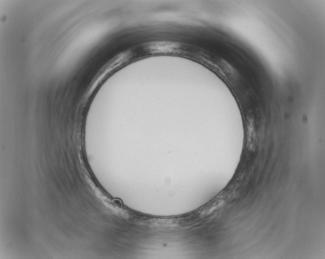 X0000062840861200602031600