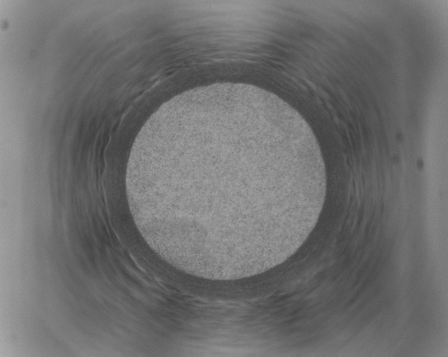 X0000062840866200602031559