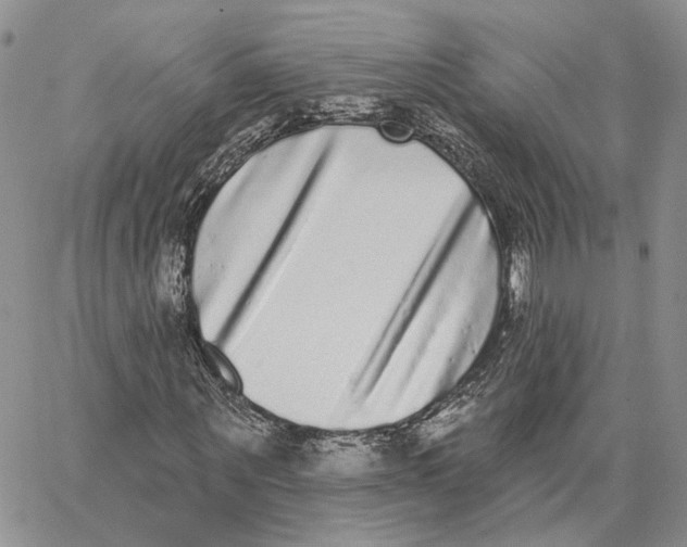 X0000062840867200602031559