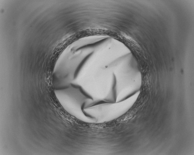 X0000062840870200602031559