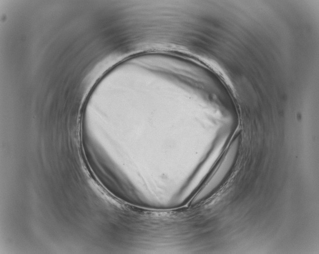 X0000062840903200602031559