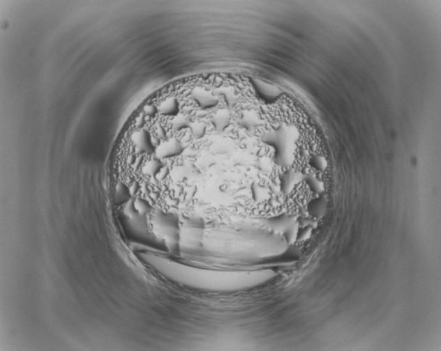 X0000062840907200602031559