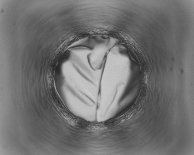 X0000062840915200602031558