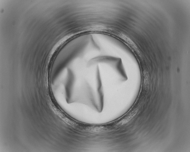 X0000062840939200602031558