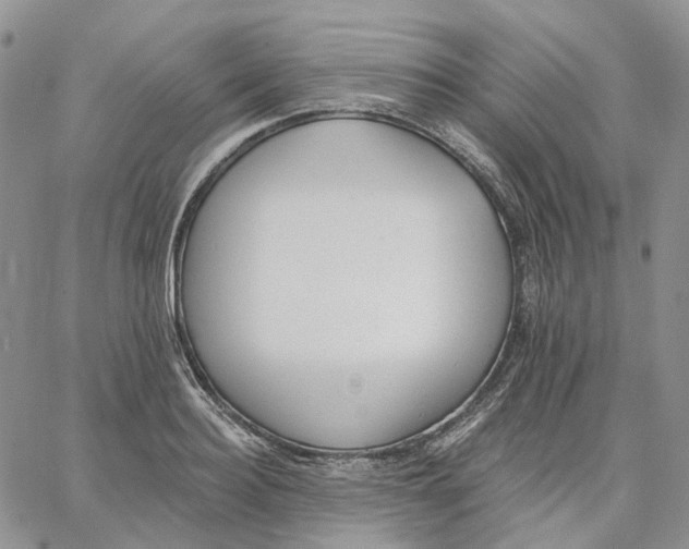 X0000062840940200602031558
