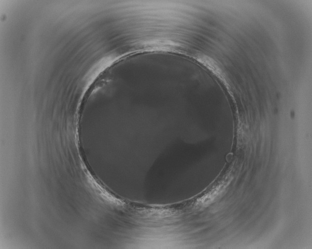 X0000062840941200602031558