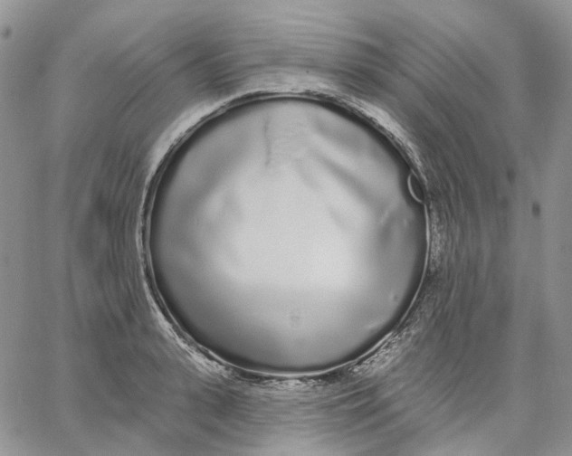 X0000062840943200602031558