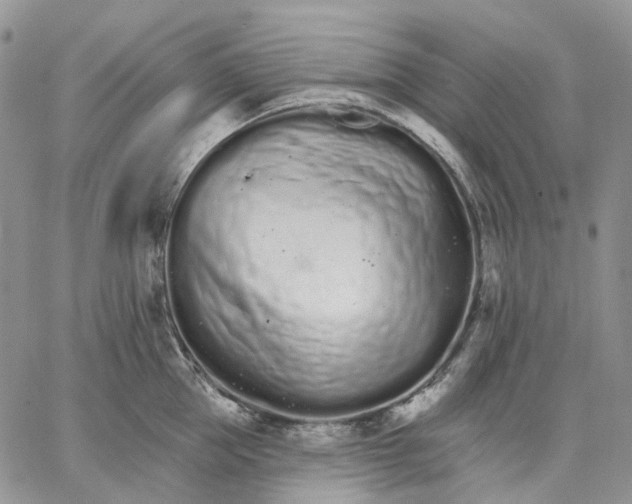 X0000062840953200602031558