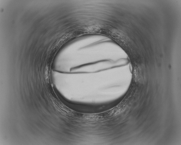 X0000062840963200602031558