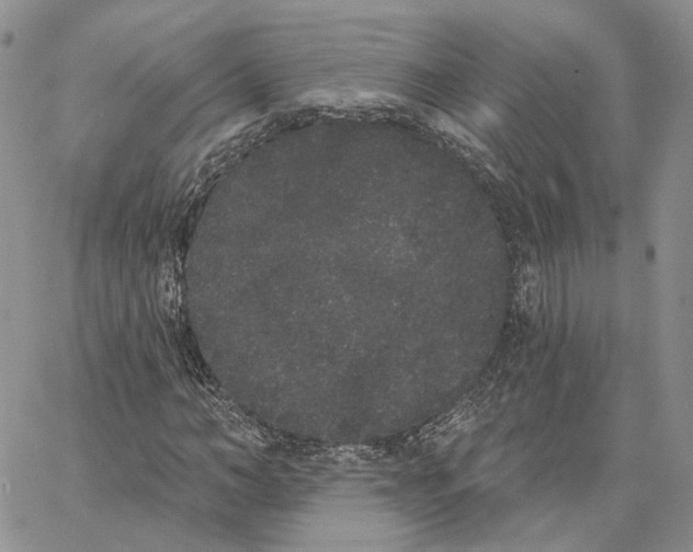X0000062840966200602031558