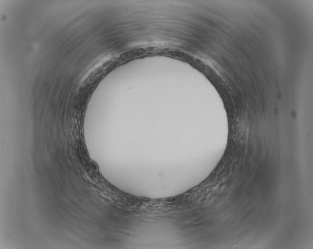 X0000062840967200602031558
