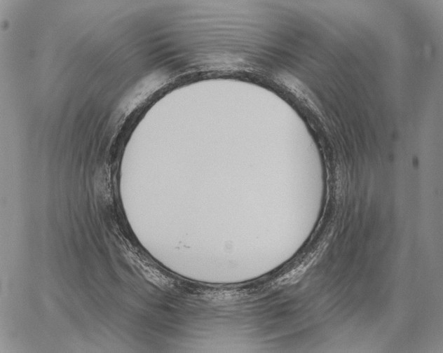 X0000062840970200602031558