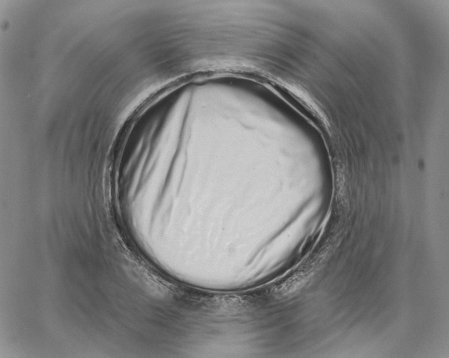 X0000062840983200602031557