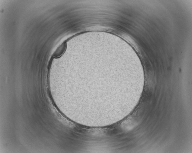 X0000062841000200602031557