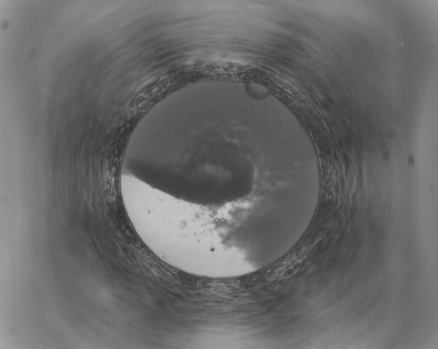 X0000062841013200602031556