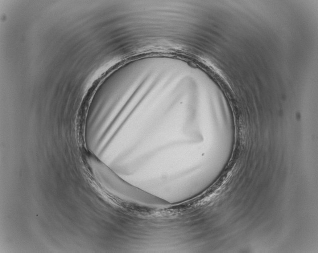 X0000062841026200602031557