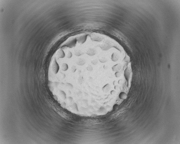 X0000062841027200602031557