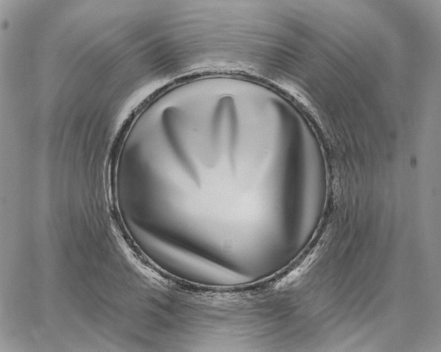 X0000062841030200602031557